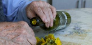 Tinctura de păpădie – un leac ce face minuni pentru ficat și bilă!