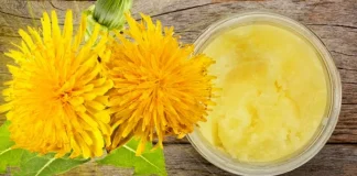 Folosiți UNGUENTUL DE PĂPĂDIE în caz de dureri musculare și articulații dureroase!