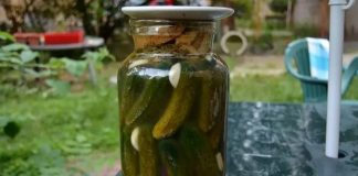 Castraveți murați de vară. O rețetă simplă de la bunica!