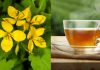 Ceaiul de ROSTOPASCĂ – tratament pentru afecțiuni hepato-biliare, reducerea colesterolului și grăsimilor în sânge, răni și infecții ale pielii