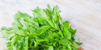 Mestecaţi 1-2 frunze de leustean, înainte şi după masă: efectele sunt puternice şi imediate!