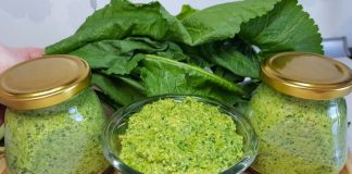 Frunzele și rădăcina de hrean sunt un medicament excelent: 6 rețete care vor înlocui farmacia!