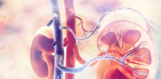 Remedii naturale pentru a menţine rinichii sănătoşi