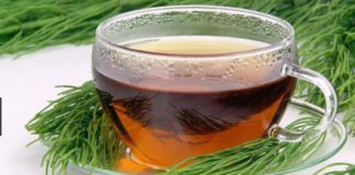 Persoanele care au trecut de 40 de ani ar trebui să bea zilnic acest ceai de coada calului!