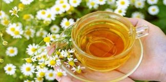 Ceaiul de MUȘEȚEL – Remediul naturist care face minuni!