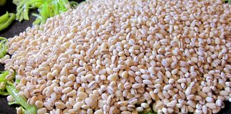 Această cereală este un izvor bogat de colagen și întinerește organismul feminin cu până la 10 ani!