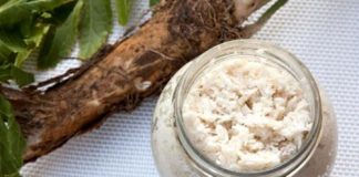 Pastă de hrean, gustoasă și sănătoasă! – Proprietăți laxative, diuretice, efect antibiotic, expectorant, decongestionant, bronhodilatator