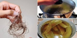 Aveți nevoie de frunze de dafin, mușețel și apă pentru a opri căderea părului și a-l întări