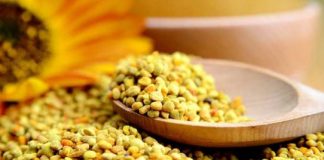 Cura cu Polen – reglează metabolismul, curăță sângele și înlătură oboseala. Cum trebuie folosit?