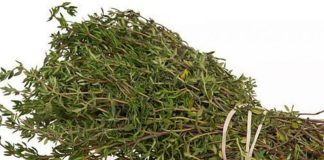 Cimbrul vindecă complet reumatismul. Te scapă pentru totdeauna de dureri și amorțeală!