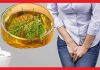 Remedii și ceaiuri care îţi curăţă vezica urinară – Cum să eviți și să elimini orice infecție?
