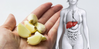 Ficatul este ”motorul” corpului tău și trebuie să fie sănătos. Spală toate toxinele din ficat și fă-ți corpul să se simtă ca nou cu aceste 16 alimente!