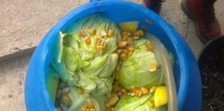 De ce este bine să pui varza la murat de Sfântul Dumitru. Cea mai bună rețetă de varză la butoi!