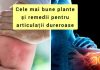 Cele mai bune plante și remedii pentru articulaţii dureroase