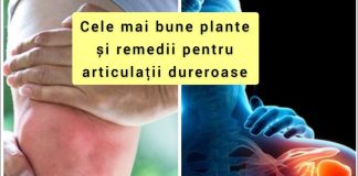 Cele mai bune plante și remedii pentru articulaţii dureroase