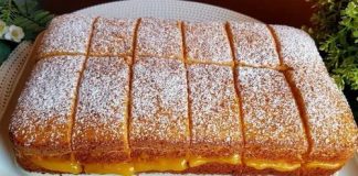 Un deliciu rapid, cu blat pufos și cremă super aromată – o prăjitură pe gustul tuturor!