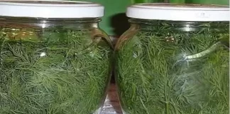 Ce trebuie să faci pentru a păstra mărarul verde luni de zile, fără a-l congela!