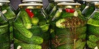 Castraveți conservați cu apă rece – fără oțet sau acid citric. Se fac ușor, sunt crocanți și îi poți păstra mult timp!