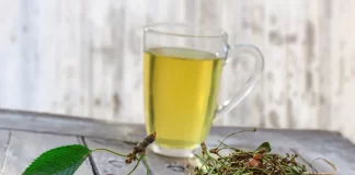 Ceaiul din codițe de cireşe – ajută la buna funcționare a rinichilor și are o mulțime de beneficii pentru organism